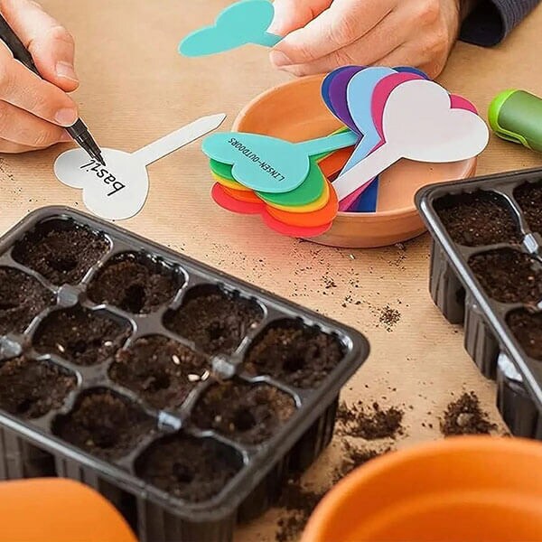 Seed Starter Growing Trays